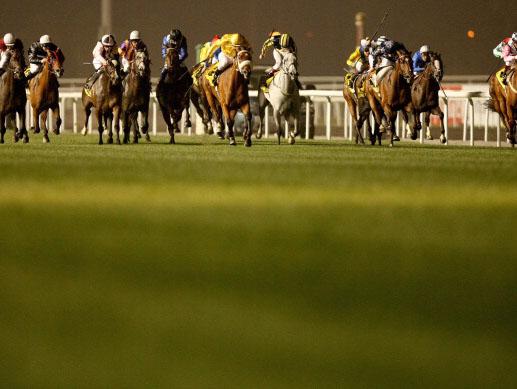There's racing in Dubai on Friday